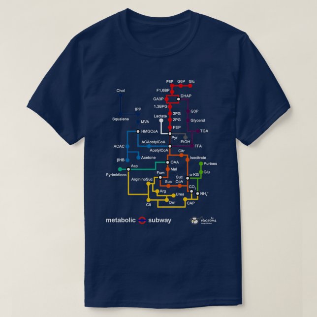Camiseta Subterráneo metabólico 2 (Diseño del anverso)