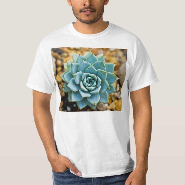 Camiseta Suculento (Anverso)
