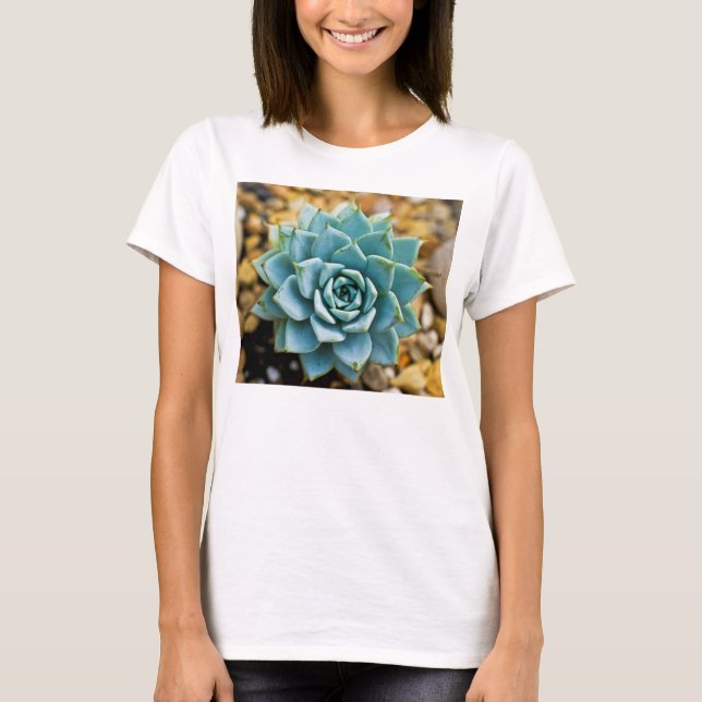 Camiseta Suculento (Anverso)