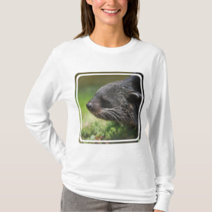 Camiseta Sudadera con capucha del oso de Binturong