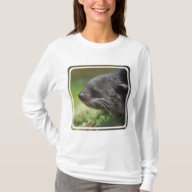 Camiseta Sudadera con capucha del oso de Binturong (Anverso)