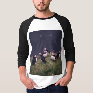 Camiseta Sudadera de Puffins del Atlántico
