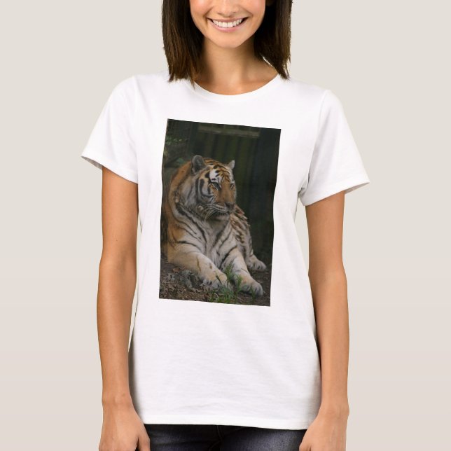 Camiseta Sudadera Tigress (Anverso)