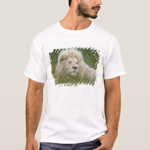 Camiseta Sudáfrica, East London, Inkwenkwezi Privado