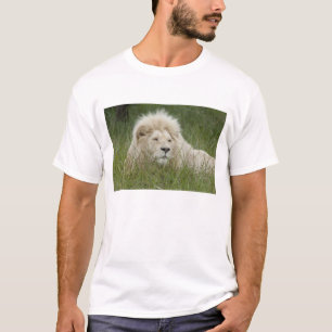Camiseta Sudáfrica, East London, Inkwenkwezi Private