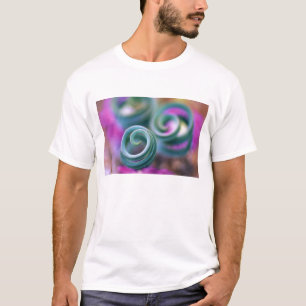Camiseta Sudáfrica Namaqualand, hojas de lirio rizadas. Cré