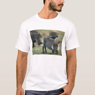 Camiseta Sudáfrica, Pilanesburg GR, jabalí verrugoso