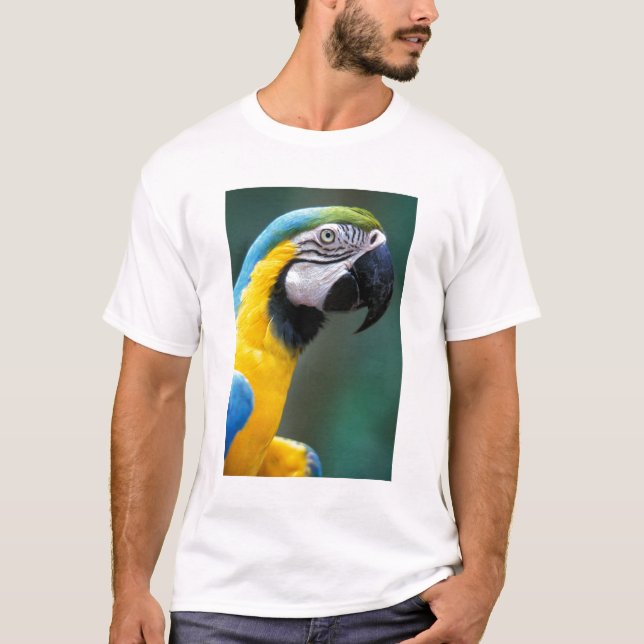 Camiseta Sudamérica, Brasil, Parque Nacional Iguacu, (Anverso)