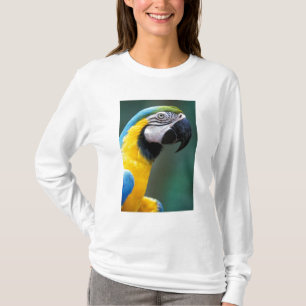 Camiseta Sudamérica, Brasil, Parque Nacional Iguazú,