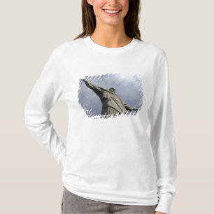 Camiseta Sudamérica, Brasil, Río de Janeiro. Cristo 3