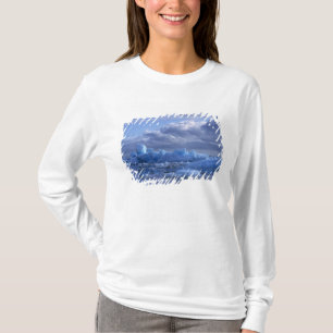 Camiseta Sudamérica, Chile, Parque Nacional Laguna San Rafa