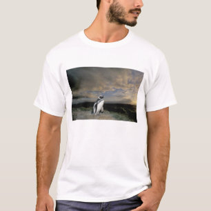 Camiseta Sudamérica, Chile, Patagonia, Magallanes,