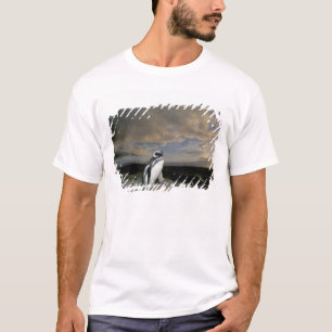 Camiseta Sudamérica, Chile, Patagonia, Magallanes,