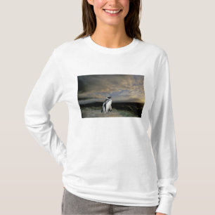 Camiseta Sudamérica, Chile, Patagonia, Magallanes,