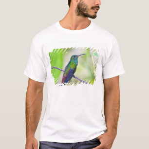 Camiseta Sudamérica, Costa Rica, Sarapiqui, La Selva