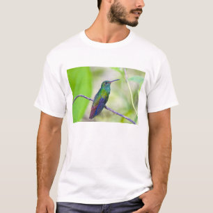 Camiseta Sudamérica, Costa Rica, Sarapiqui, La Selva