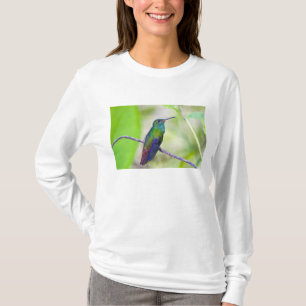 Camiseta Sudamérica, Costa Rica, Sarapiqui, La Selva