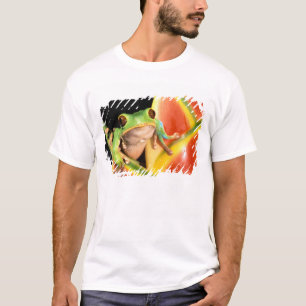 Camiseta Sudamérica, Ecuador, Amazonas. Rana de árbol