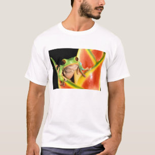 Camiseta Sudamérica, Ecuador, Amazonas. Rana de árbol