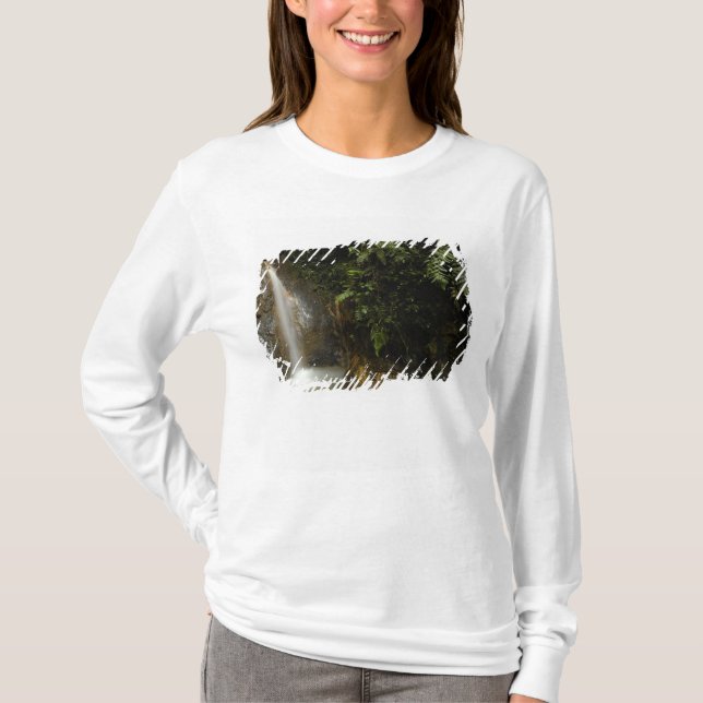 Camiseta Sudamérica, Ecuador, ladera oriental de la (Anverso)