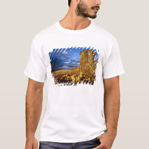 Camiseta Sudamérica, Perú, cerca del Lago Titicaca.