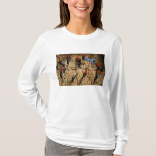 Camiseta Sudamérica, Perú, Parque Nacional Manu,