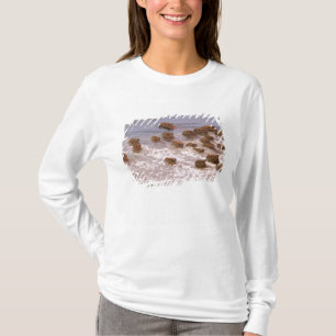 Camiseta Sudamérica, Venezuela, región de los Llanos.