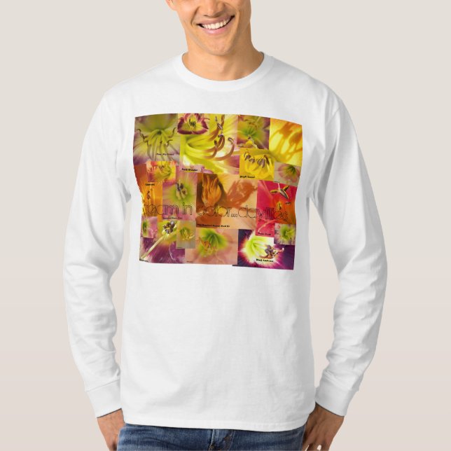 Camiseta Sueño en color (Anverso)