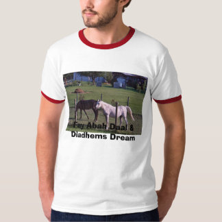 CAMISETA SUEÑO FAY DE ABAH DAAL Y DE DIADHEMS.