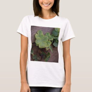 Camiseta ¿Suertudo o determinado? Día de San Patrón Shamroc