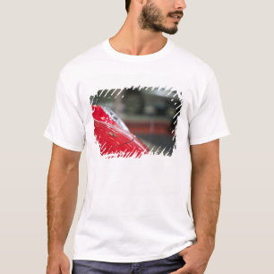 Camiseta SUIZA, GINEBRA: 75ª edición anual Ginebra Auto 2