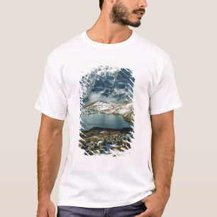 Camiseta Suiza, Grindelwald, Alpes Berneses, Vista