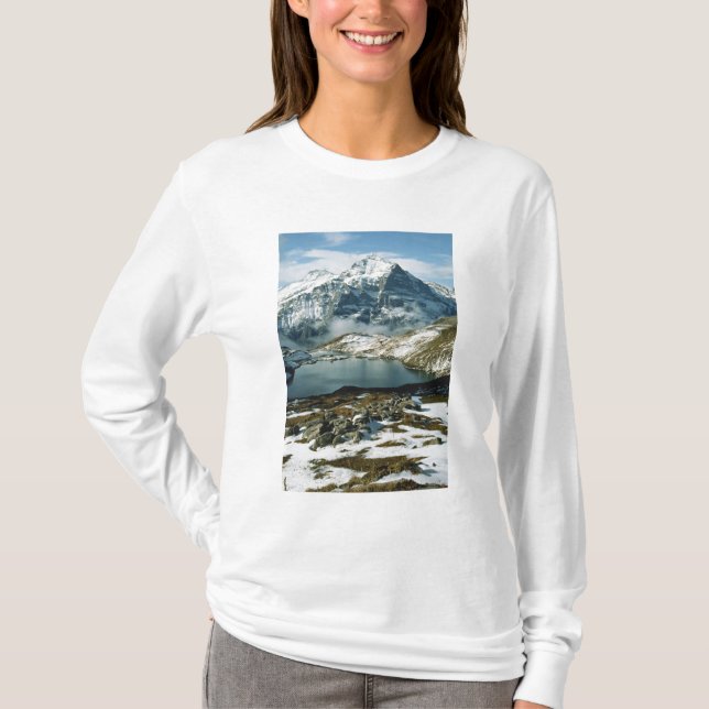 Camiseta Suiza, Grindelwald, Alpes Berneses, Vista (Anverso)