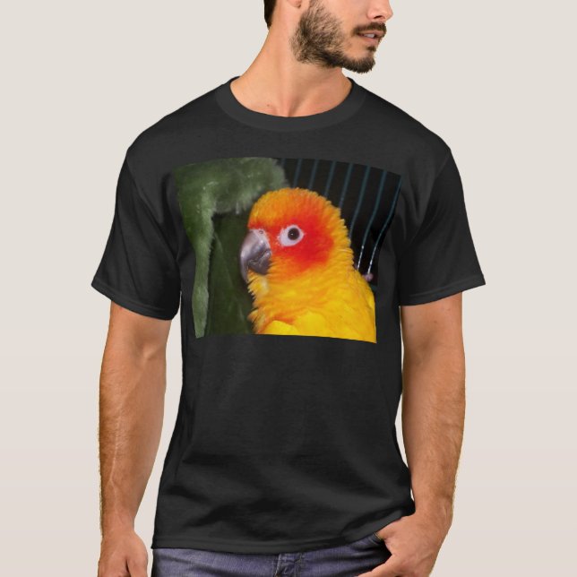 Camiseta Sun Conure (Anverso)