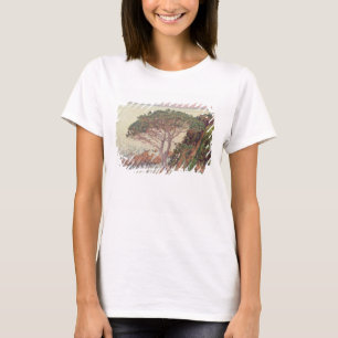 Camiseta Sunset, 1916 (oil on canvas)