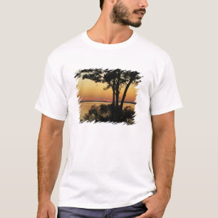 Camiseta Sunset Riverwinds