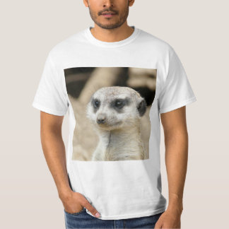 Camiseta Suricata_2015_0405