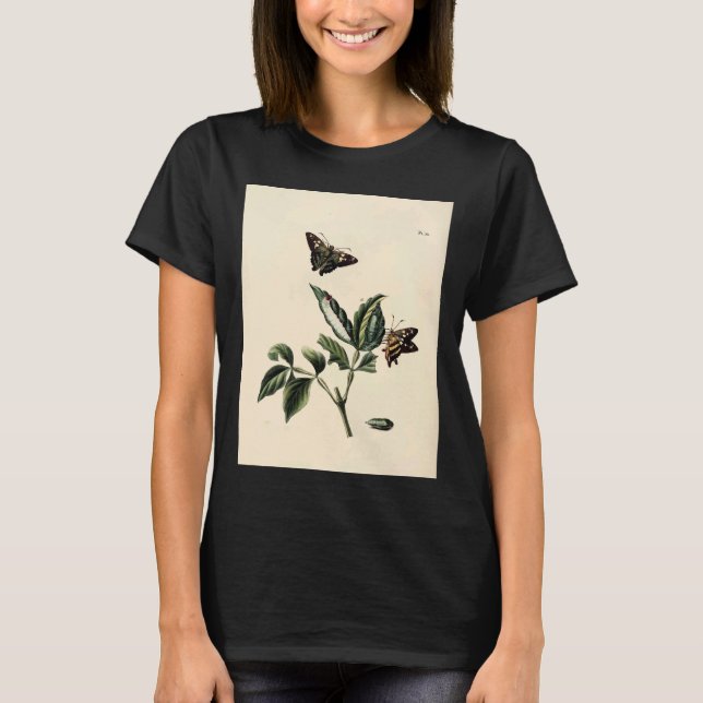 Camiseta Surinaamsche Vlinders Naar Het Leven Geteekend Pap (Anverso)