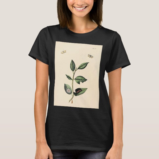 Camiseta Surinaamsche Vlinders Naar Het Leven Geteekend Pap (Anverso)