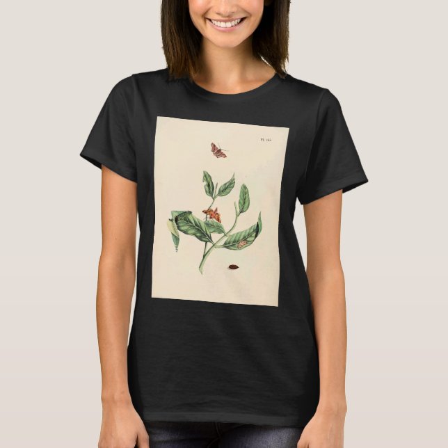 Camiseta Surinaamsche Vlinders Naar Het Leven Geteekend Pap (Anverso)