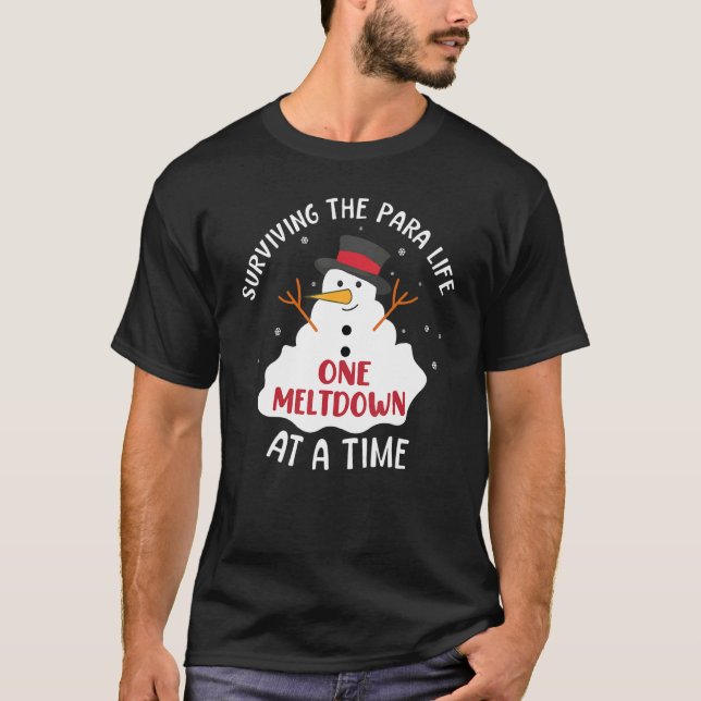 Camiseta Surviving The Paraprofessional Life One Meltdown A (Anverso)