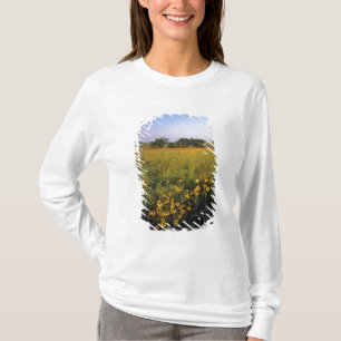 Camiseta Susans de ojos negros en pradera de hierba alta en