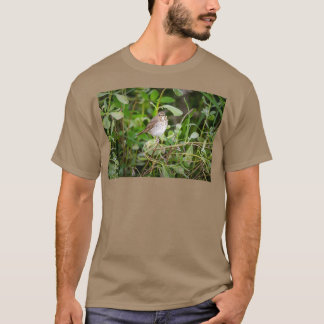Camiseta Swainsons Thrush