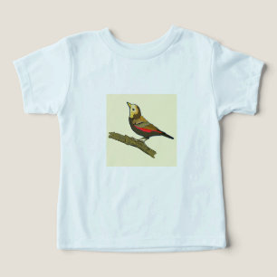 Camiseta Sweet Bird 