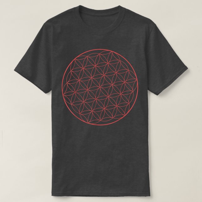 Camiseta Symbolic Viking Pagan Wicca 336 (Diseño del anverso)