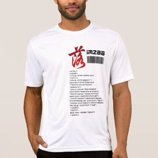 CAMISETA T3