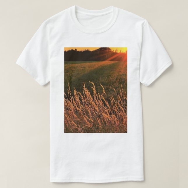 Camiseta T sart (Diseño del anverso)