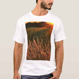 Camiseta T sart