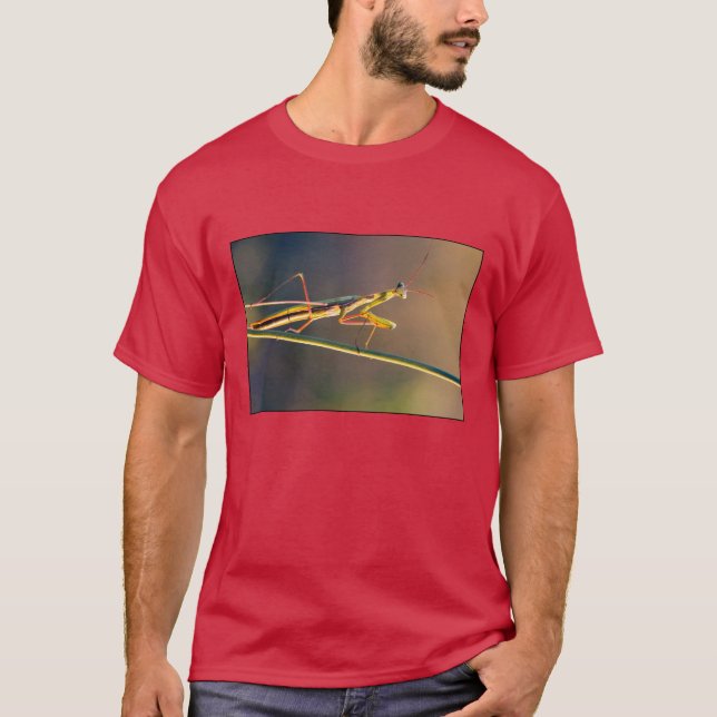Camiseta T-Shirt (Anverso)