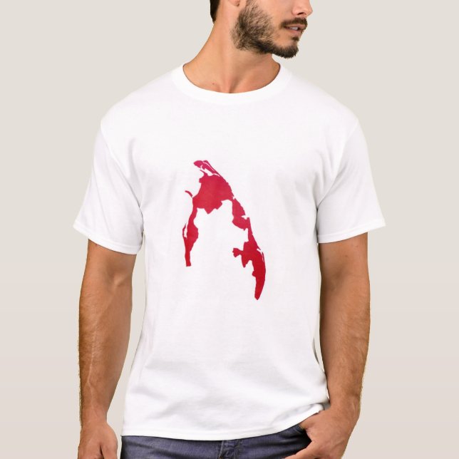 Camiseta T-shirt  (Anverso)